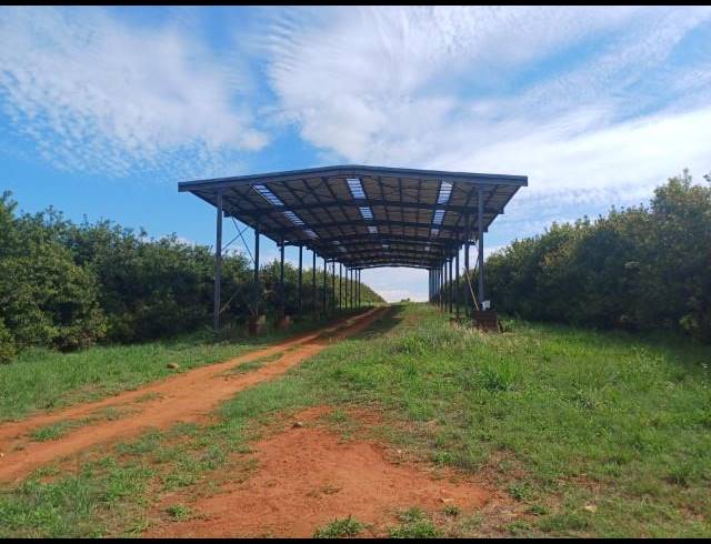FARM FOR SALE IN LEVUBU